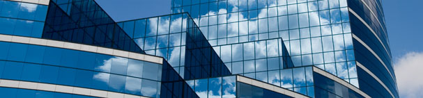 Excellent WP Solution For Your Business